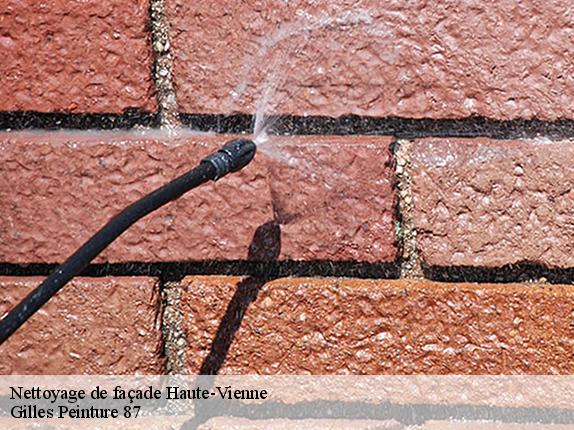 Nettoyage de façade 87 Haute-Vienne Gilles Peinture 87