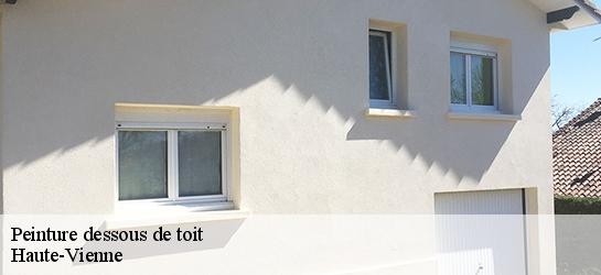 Peinture dessous de toit Haute-Vienne 