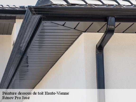 Peinture dessous de toit Haute-Vienne 