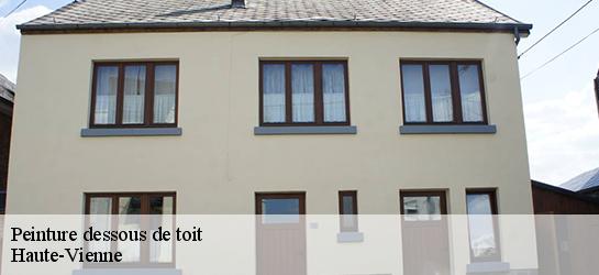 Peinture dessous de toit Haute-Vienne 