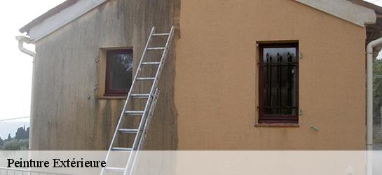 Peinture Extérieure Haute-Vienne 