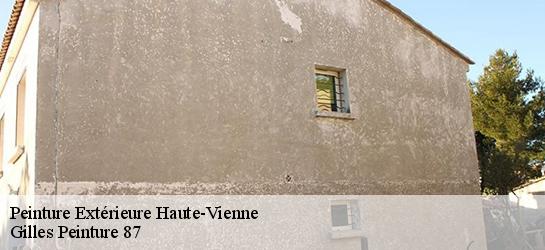 Peinture Extérieure Haute-Vienne 