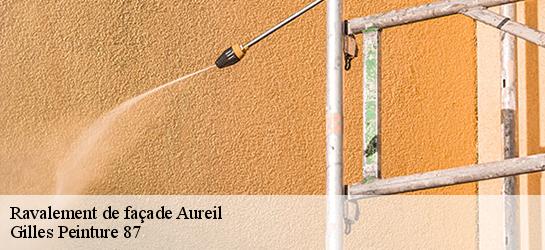 Ravalement de façade  87220