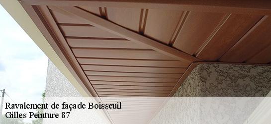 Ravalement de façade  87220