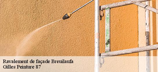 Ravalement de façade 87300