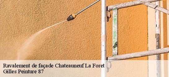 Ravalement de façade  87130