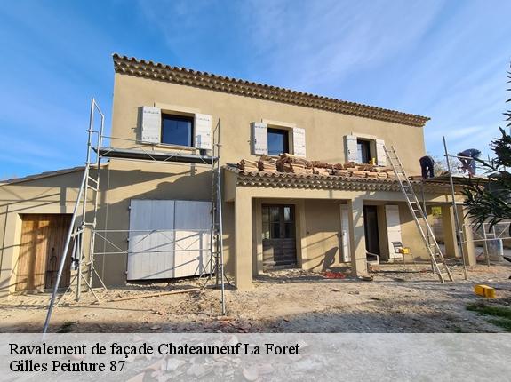 Ravalement de façade  chateauneuf-la-foret-87130 Rénov Pro José