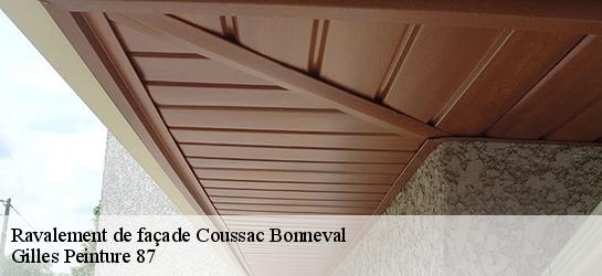 Ravalement de façade  87500