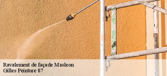 Ravalement de façade  87130