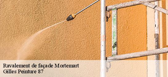 Ravalement de façade  87330