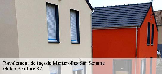 Ravalement de façade  87250
