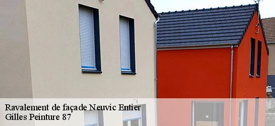 Ravalement de façade  87130