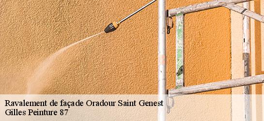 Ravalement de façade  87210