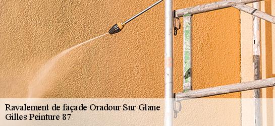 Ravalement de façade 87520