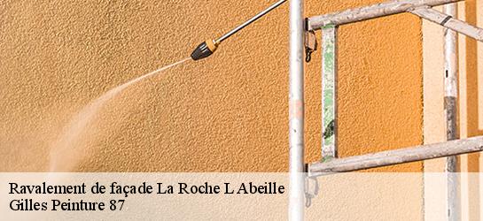 Ravalement de façade  87800