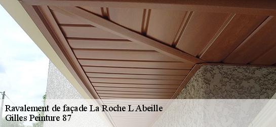 Ravalement de façade  87800