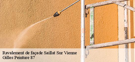 Ravalement de façade  87720
