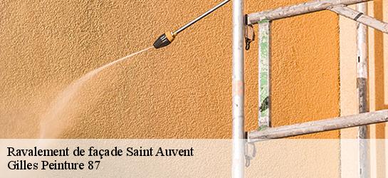 Ravalement de façade  87310