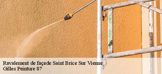 Ravalement de façade  87200