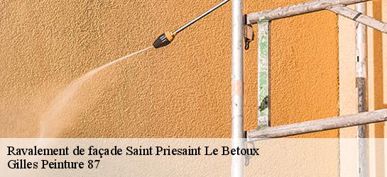 Ravalement de façade  87290