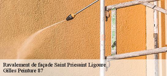 Ravalement de façade  87800