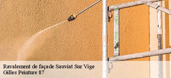 Ravalement de façade  87400