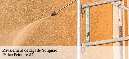 Ravalement de façade  87110