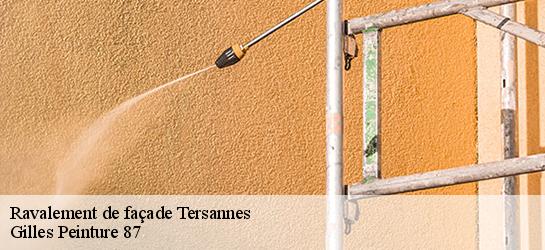 Ravalement de façade 87360