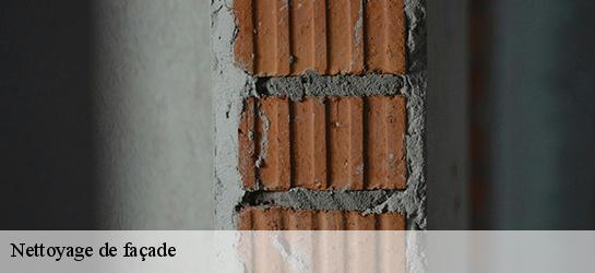 Nettoyage de façade 87220