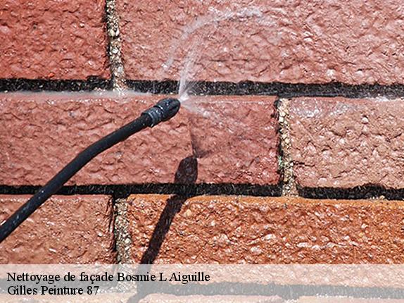 Nettoyage de façade  bosmie-l-aiguille-87110 Gilles Peinture 87