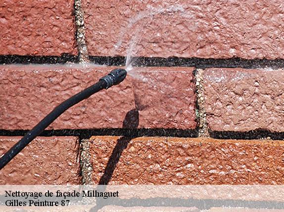 Nettoyage de façade milhaguet-87440 Gilles Peinture 87