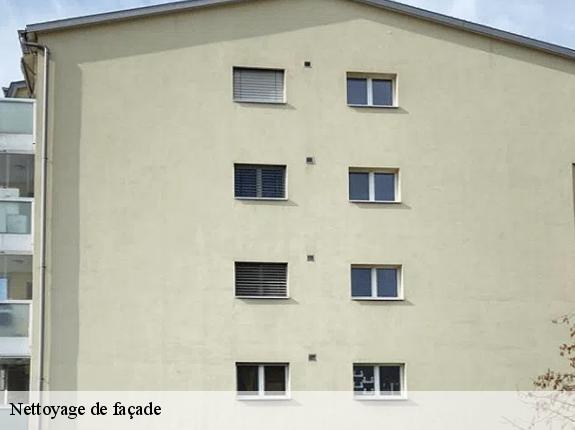 Nettoyage de façade  87590