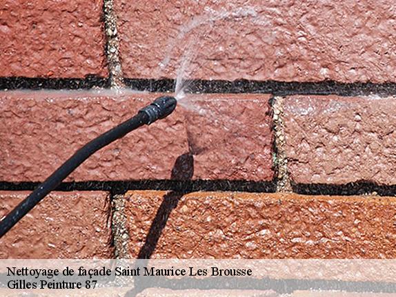 Nettoyage de façade saint-maurice-les-brousse-87800 Gilles Peinture 87
