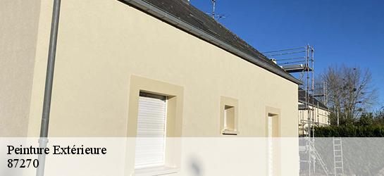 Peinture Extérieure 87270