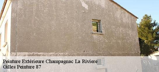Peinture Extérieure  87150