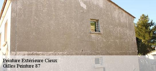 Peinture Extérieure 87520