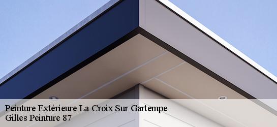 Peinture Extérieure 87210