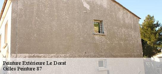 Peinture Extérieure  87210