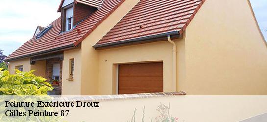 Peinture Extérieure  87190