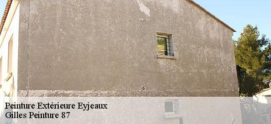 Peinture Extérieure  87220