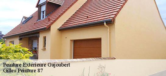Peinture Extérieure  87330
