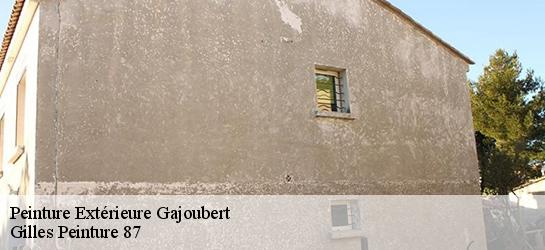Peinture Extérieure 87330