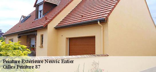 Peinture Extérieure  87130