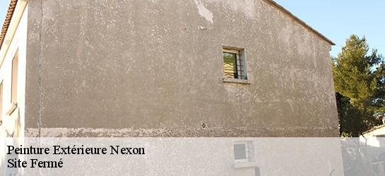 Peinture Extérieure 87800