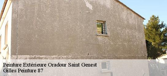 Peinture Extérieure  87210