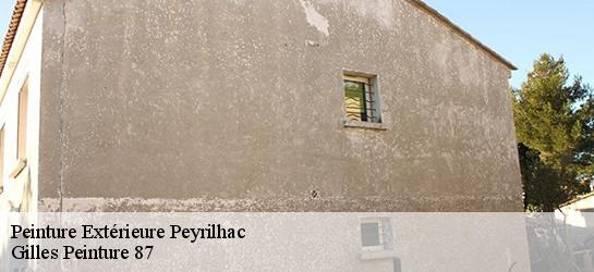 Peinture Extérieure 87510