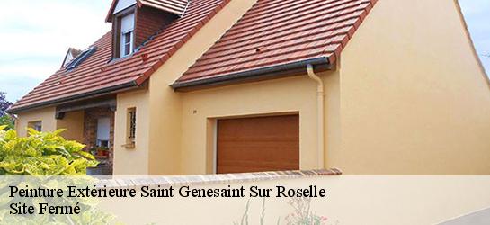 Peinture Extérieure 87260