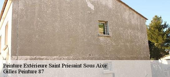 Peinture Extérieure  87700