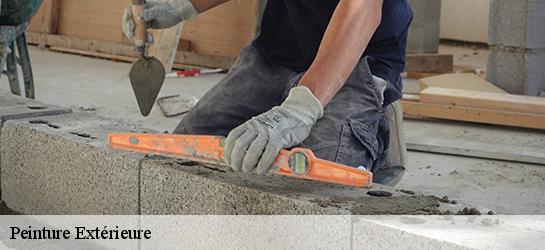Peinture Extérieure 87240