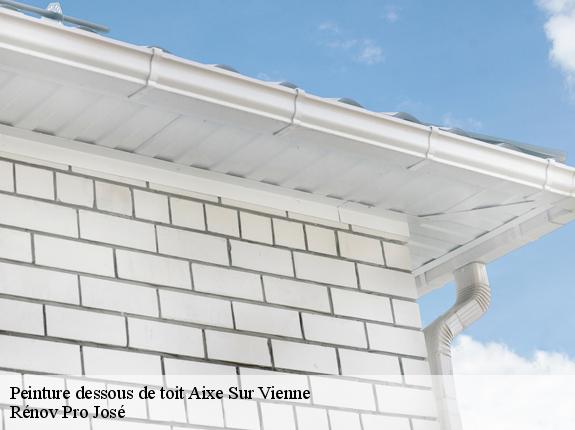 Peinture dessous de toit  aixe-sur-vienne-87700 Rénov Pro José